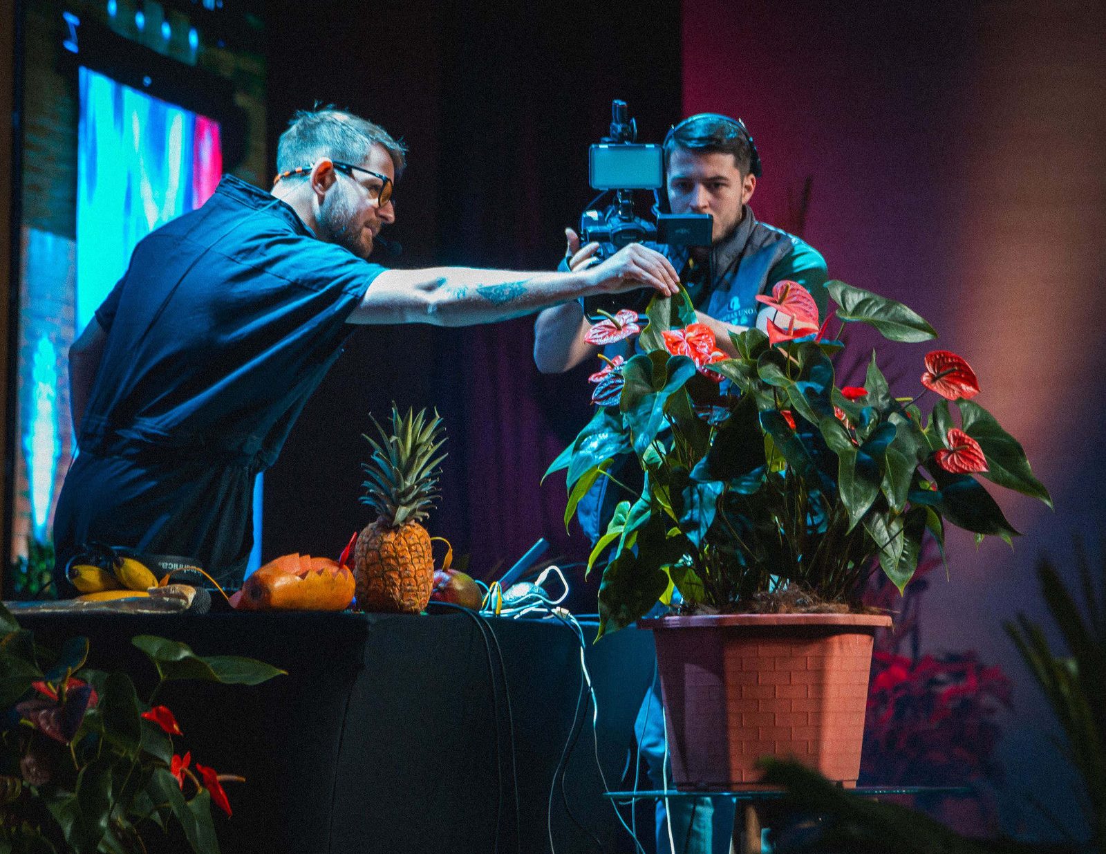 Instalación interactiva Música de las Plantas